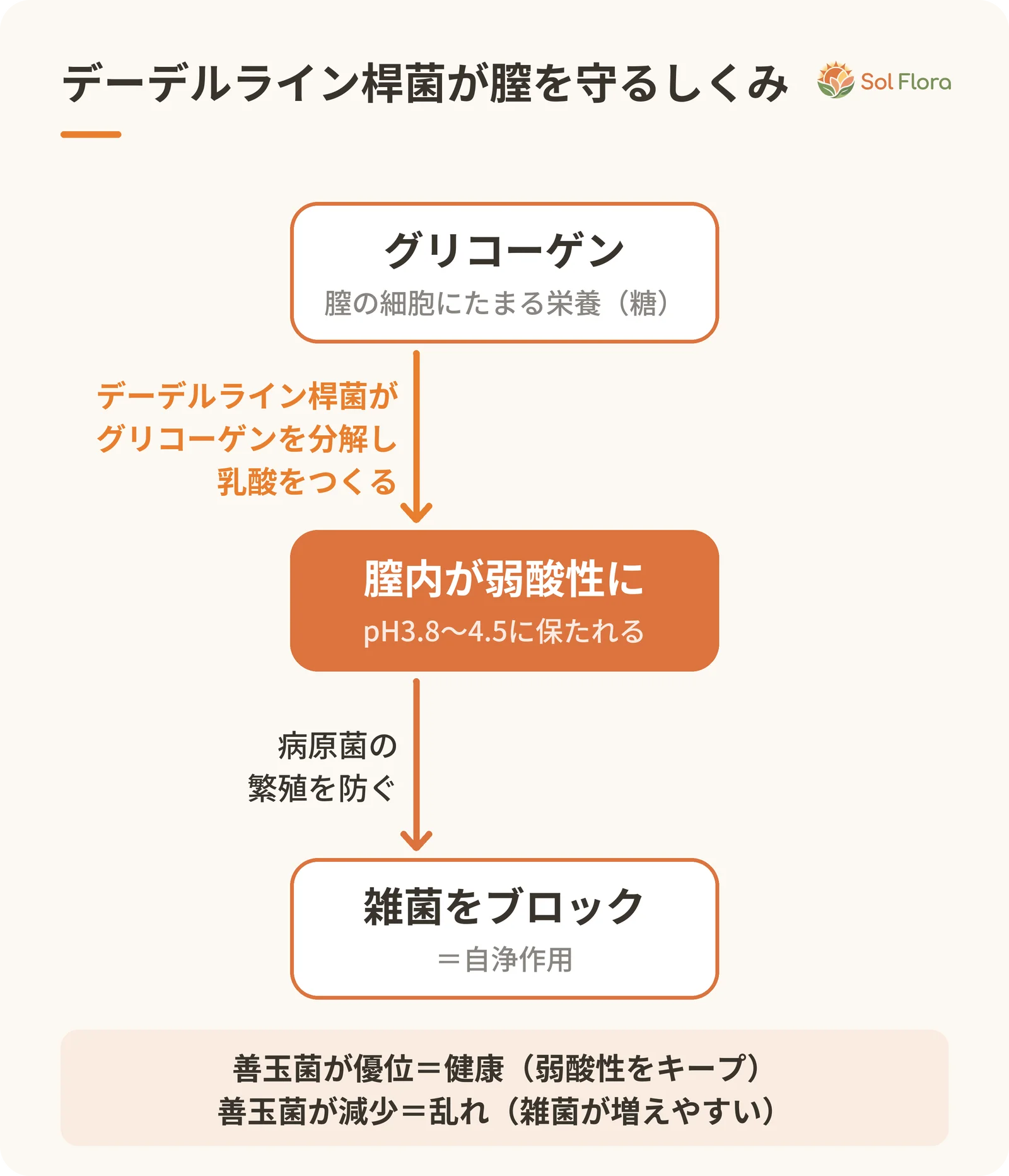 デーデルライン桿菌がグリコーゲンを分解して乳酸をつくり、膣内を弱酸性（pH3.8〜4.5）に保って病原菌の繁殖を防ぐ、自浄作用のしくみの図