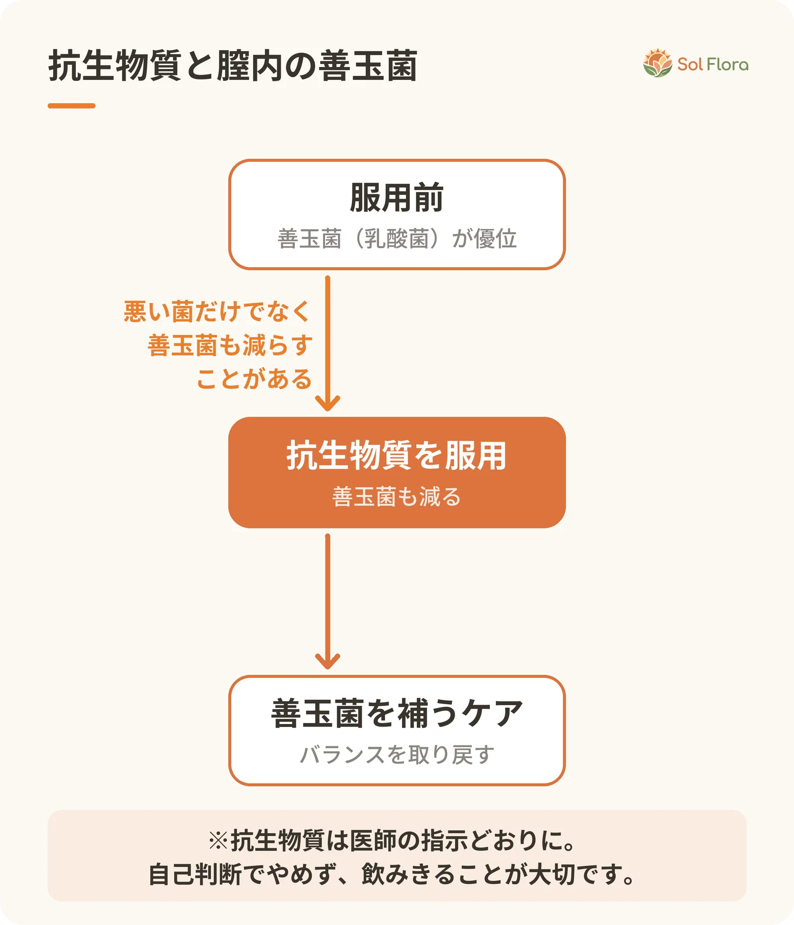 服用前、抗生物質の服用で善玉菌も減る段階、善玉菌を補うケアの3段階を示すしくみ図